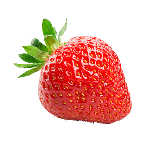 fraises-bio