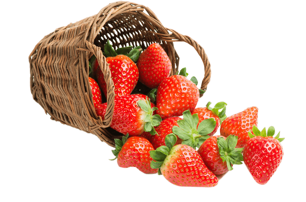 panier-fraises